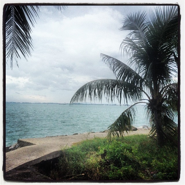 1545131_10202866705131015_1956686803_n